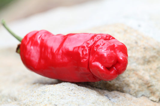 Peter Pepper Penis